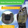 Solar Powered Owl Decoy with Flashing Eye Hoot Sound Infrared Sensor Scare Bird Squirrel Away Pest Repellent Bird Deterrent Outdoor Garden Yard Protec