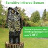 Solar Powered Owl Decoy with Flashing Eye Hoot Sound Infrared Sensor Scare Bird Squirrel Away Pest Repellent Bird Deterrent Outdoor Garden Yard Protec