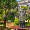 Solar Powered Owl Decoy with Flashing Eye Hoot Sound Infrared Sensor Scare Bird Squirrel Away Pest Repellent Bird Deterrent Outdoor Garden Yard Protec