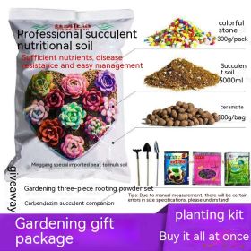 Succulent Bonsai Braised Purple Sand Simple Small Flower Pot (Option: Gardening Planting Package-Ceramic Medium)